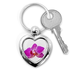 Lilac Phalaenopsis Flower, Floral Oil Painting Art Key Chains (heart)  by picsaspassion