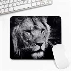Africa Lion Male Closeup Macro Large Mousepads by BangZart