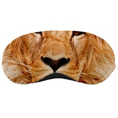 Africa African Animal Cat Close Up Sleeping Masks by BangZart
