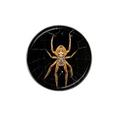 Nsect Macro Spider Colombia Hat Clip Ball Marker (10 Pack) by Celenk