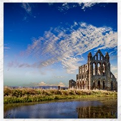Ruin Church Ancient Architecture Canvas 16  X 16   by Celenk