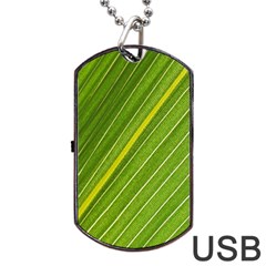 Leaf Plant Nature Pattern Dog Tag Usb Flash (one Side) by Nexatart