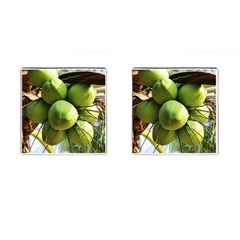 Coconuts 1 Cufflinks (square) by trendistuff