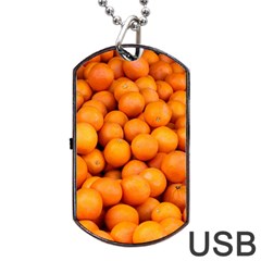 Oranges 3 Dog Tag Usb Flash (one Side) by trendistuff