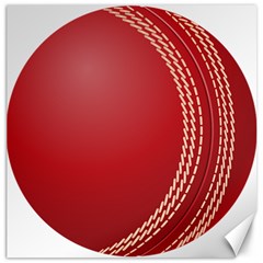Cricket Ball Canvas 12  X 12   by Sapixe