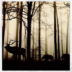 Forest Fog Hirsch Wild Boars Canvas 12  X 12   by Simbadda