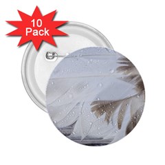 Feather Brown Gray White Natural Photography Elegant 2 25  Buttons (10 Pack)  by yoursparklingshop