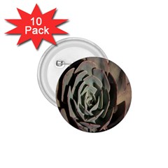 Succulent Green Pink Rosettes 1 75  Buttons (10 Pack) by Sapixe