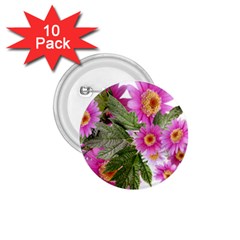 Daisies Flowers Arrangement Summer 1 75  Buttons (10 Pack) by Sapixe