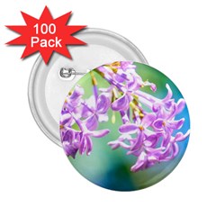 Beautiful Pink Lilac Flowers 2 25  Buttons (100 Pack)  by FunnyCow