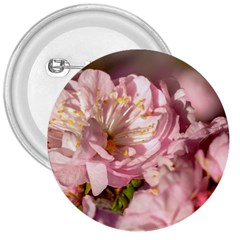 Beautiful Flowering Almond 3  Buttons by FunnyCow