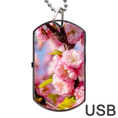 Flowering Almond Flowersg Dog Tag Usb Flash (two Sides) by FunnyCow