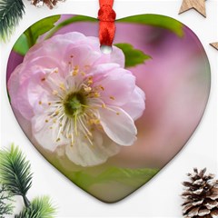 Single Almond Flower Heart Ornament (two Sides) by FunnyCow