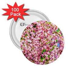 Almond Tree In Bloom 2 25  Buttons (100 Pack)  by FunnyCow