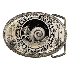 Snail 1618209 1280 Belt Buckles by vintage2030