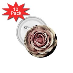 Vintage Rose 1 75  Buttons (10 Pack) by vintage2030