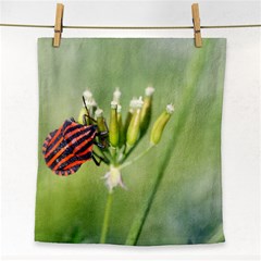 One More Bottle Does Not Hurt Face Towel by FunnyCow