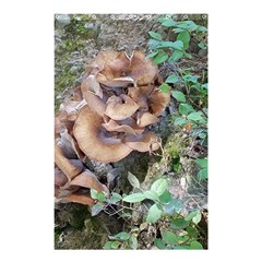 Abstract Of Mushroom Shower Curtain 48  X 72  (small)  by canvasngiftshop