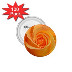 Flower Plant Rose Nature Garden 1 75  Buttons (100 Pack)  by Celenk