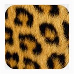 Animal print Leopard Medium Glasses Cloth Front