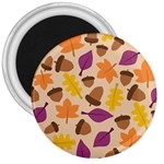 Acorn Pattern 3  Magnets Front