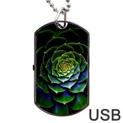 Nature Desktop Flora Color Pattern Dog Tag Usb Flash (one Side) by Nexatart