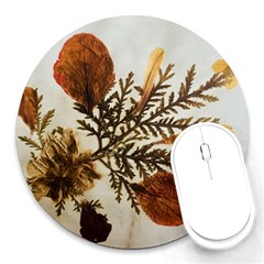 Holy Land Flowers 2 Round Mousepads by DeneWestUK