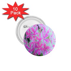 Hot Pink And White Peppermint Twist Garden Phlox 1 75  Buttons (10 Pack) by myrubiogarden