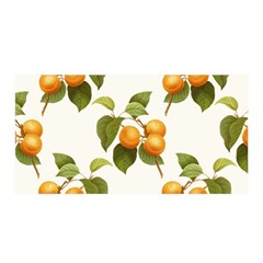 Apricot Fruit Vintage Art Satin Wrap by Pakrebo