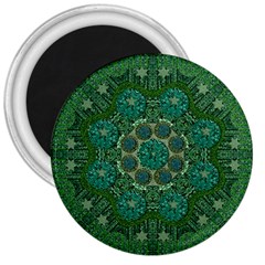 Stars Shining Over The Brightest Star In Lucky Starshine 3  Magnets by pepitasart