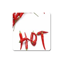 Hot Square Magnet by Sudhe