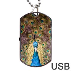 Peacock Feather Peacock Feather Dog Tag Usb Flash (one Side) by Pakrebo