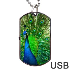Peacock Peafowl Pattern Plumage Dog Tag Usb Flash (one Side) by Pakrebo