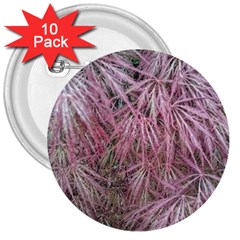 Fineleaf Japanese Maple In April 3  Buttons (10 Pack)  by Riverwoman