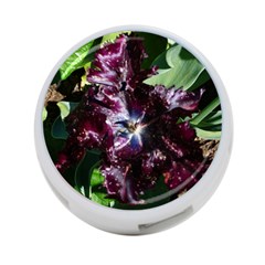 Galaxy Tulip 4-port Usb Hub (two Sides) by okhismakingart