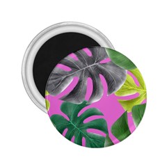 Tropical Greens Leaves Design 2 25  Magnets by Simbadda