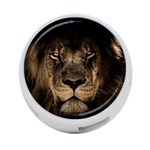 African Lion Wildcat Mane Closeup 4-Port USB Hub (Two Sides) Front