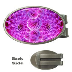 Nature Blossom Plant Flower Purple Petal Bloom Pattern Pollen Pink Flora Flowers Dahlia Design Beaut Money Clips (oval)  by Vaneshart