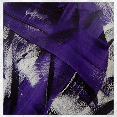 Violet Canvas 16  X 16  by WILLBIRDWELL