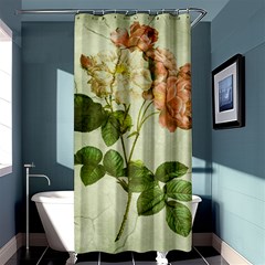 Peony 2507643 1920 Shower Curtain 36  X 72  (stall)  by vintage2030