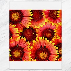 Background 1655938 960 720 Canvas 18  X 24  by vintage2030