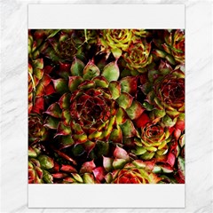 Plant Succulents Succulent Canvas 18  X 24  by Wegoenart