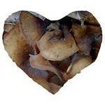 Close Up Mushroom Abstract Large 19  Premium Heart Shape Cushions Front