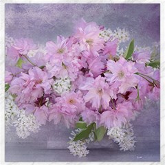 Nature Landscape Cherry Blossoms Canvas 12  X 12  by Vaneshart