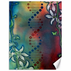 Flower Dna Canvas 18  X 24  by RobLilly
