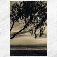 Coast Sunset Scene, Montevideo, Uruguay Canvas 12  X 18  by dflcprintsclothing