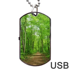 In The Forest The Fullness Of Spring, Green, Dog Tag Usb Flash (two Sides) by MartinsMysteriousPhotographerShop