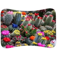 Cactus Velour Seat Head Rest Cushion by Sparkle