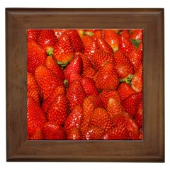 Colorful Strawberries At Market Display 1 Framed Tile by dflcprintsclothing
