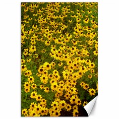 Daisy May Canvas 24  X 36  by LW323